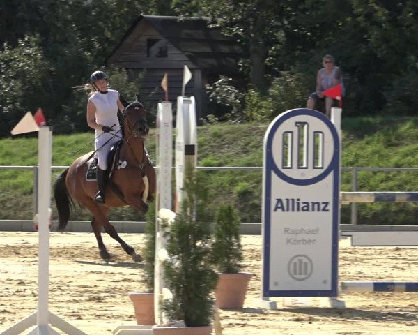 Reitturnier Kreiensen- Rittierode 2022