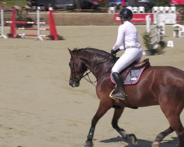Reitturnier Oberderdingen 2022