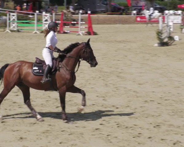 Reitturnier Oberderdingen 2022
