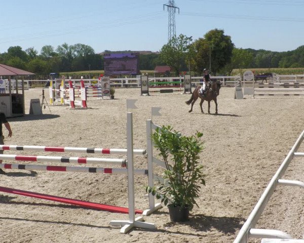 Reitturnier Gundelfingen 2022