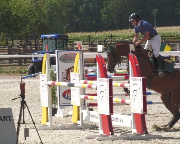 Reitturnier Gundelfingen 2022