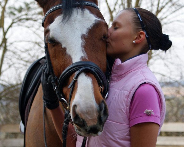 dressage horse Luxus Pur (Bavarian, 2003, from Lord Sinclair II)