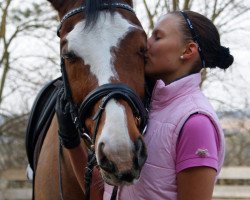 dressage horse Luxus Pur (Bavarian, 2003, from Lord Sinclair II)