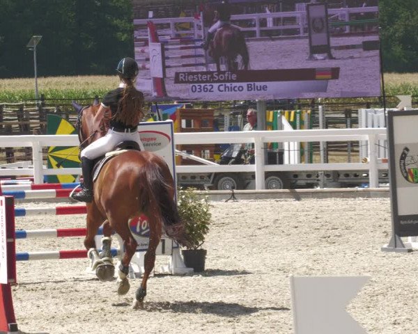 Reitturnier Gundelfingen 2022