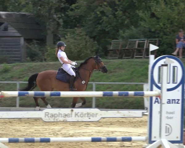 Reitturnier Kreiensen- Rittierode 2022