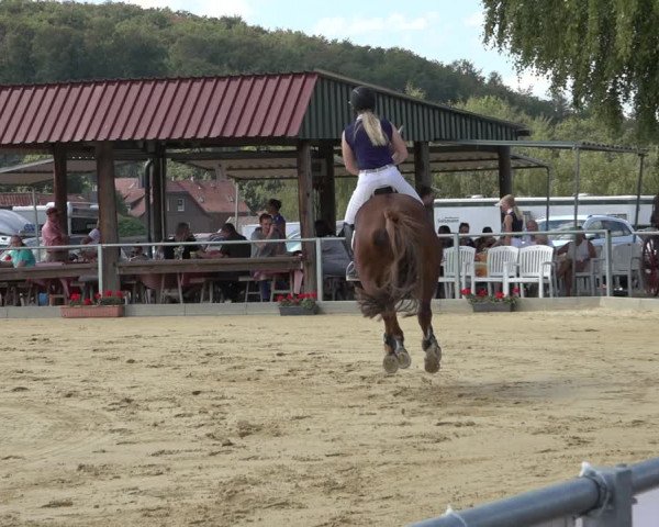 Reitturnier Kreiensen- Rittierode 2022