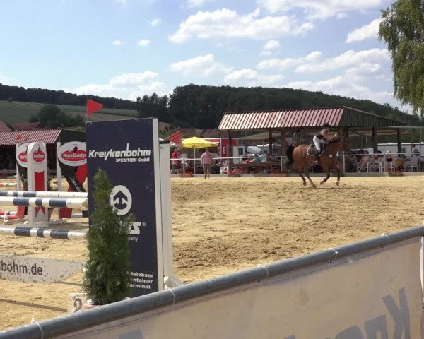 Reitturnier Kreiensen- Rittierode 2022