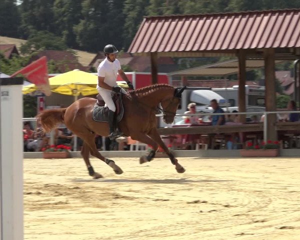 Reitturnier Kreiensen- Rittierode 2022