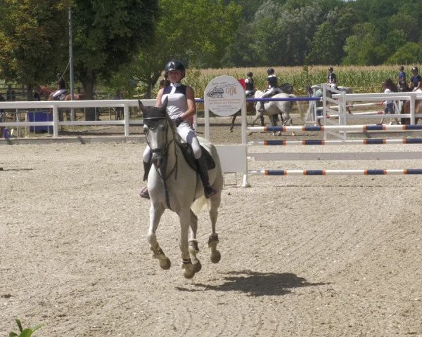 Reitturnier Gundelfingen 2022