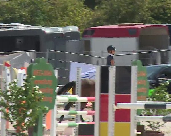 Reitturnier Grafenrheinfeld/Ufr. 2022