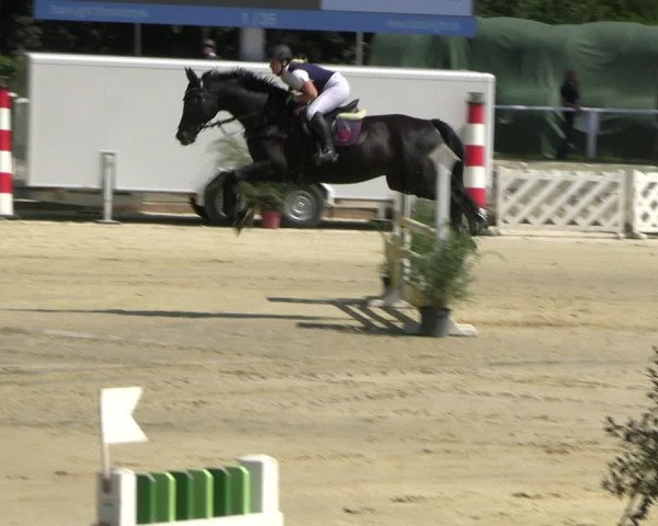 Reitturnier Vellinghausen 2022