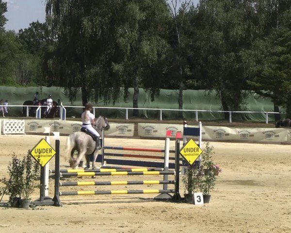 Reitturnier Vellinghausen 2022
