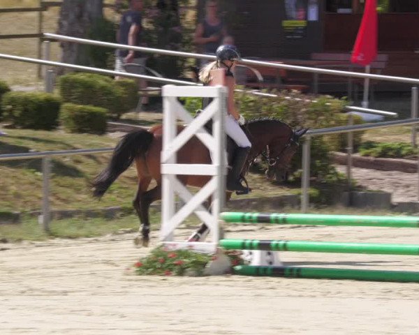 Reitturnier Oberderdingen 2022