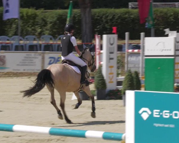 Reitturnier Oberderdingen 2022