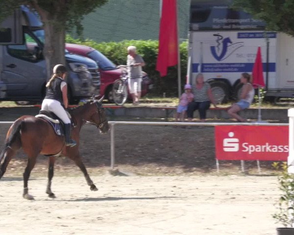 Reitturnier Oberderdingen 2022