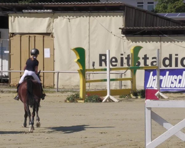 Reitturnier Oberderdingen 2022