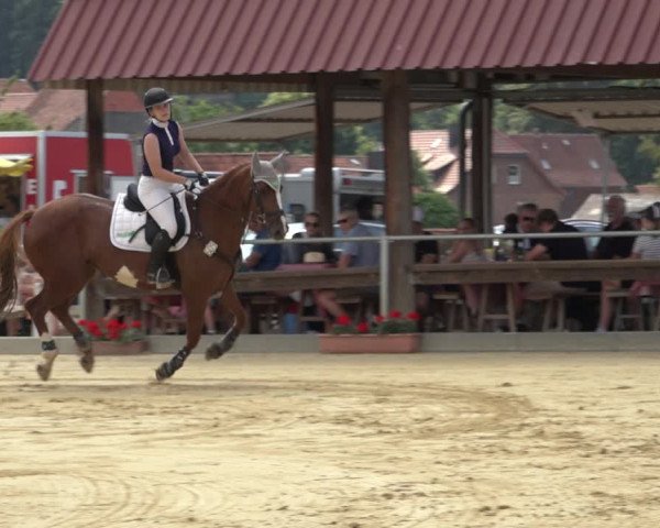 Reitturnier Kreiensen- Rittierode 2022