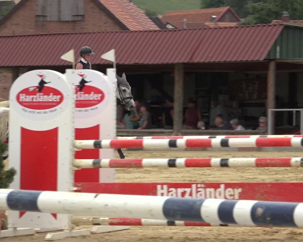 Reitturnier Kreiensen- Rittierode 2022
