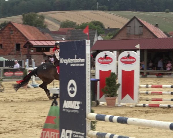 Reitturnier Kreiensen- Rittierode 2022