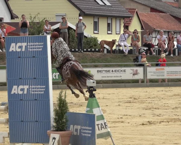 Reitturnier Kreiensen- Rittierode 2022