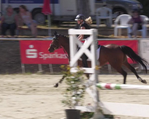 Reitturnier Oberderdingen 2022