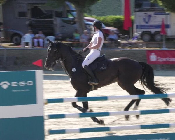 Reitturnier Oberderdingen 2022