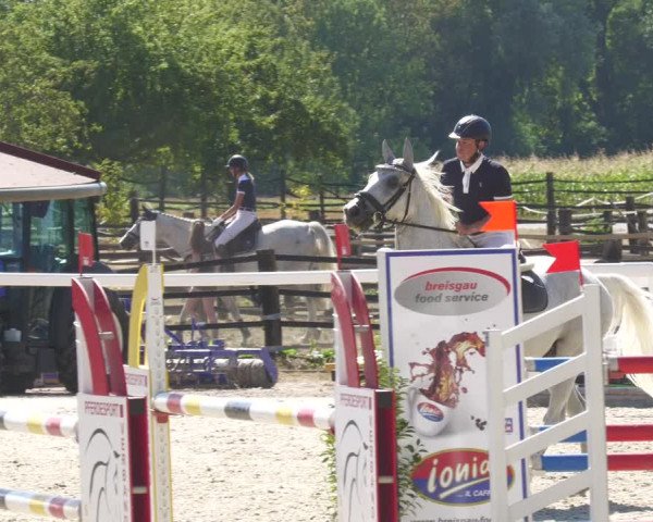 Reitturnier Gundelfingen 2022