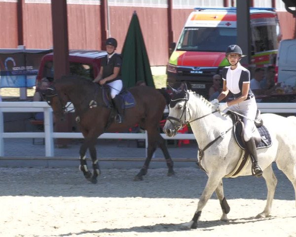 Reitturnier Gundelfingen 2022