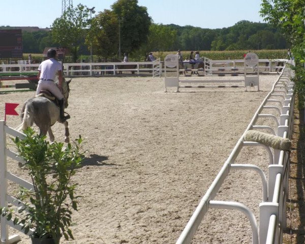 Jezdecký turnaj Gundelfingen 2022