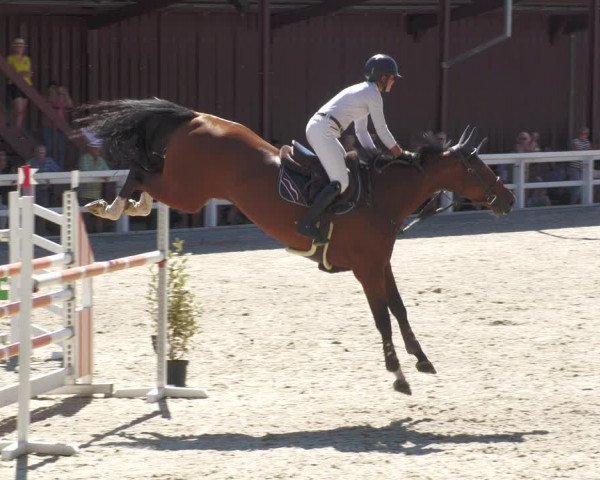 Reitturnier Gundelfingen 2022