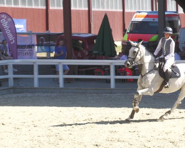 Reitturnier Gundelfingen 2022