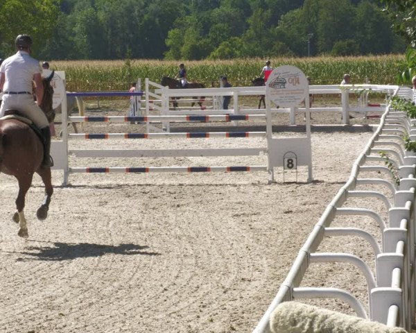 Reitturnier Gundelfingen 2022