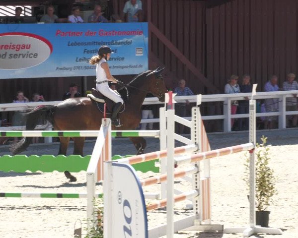 Reitturnier Gundelfingen 2022