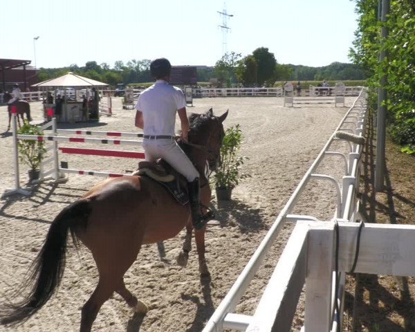 Reitturnier Gundelfingen 2022