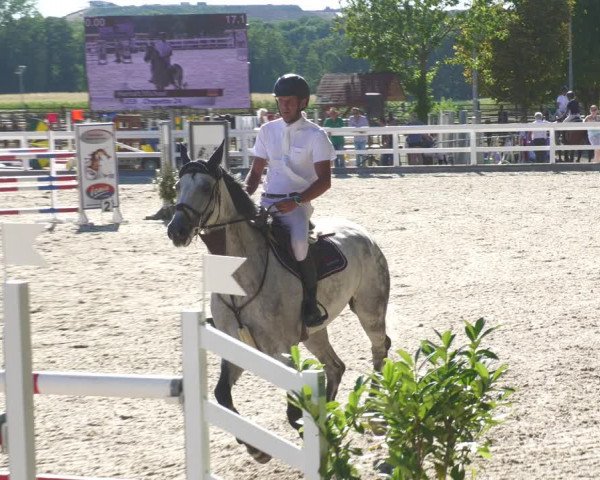 Reitturnier Gundelfingen 2022