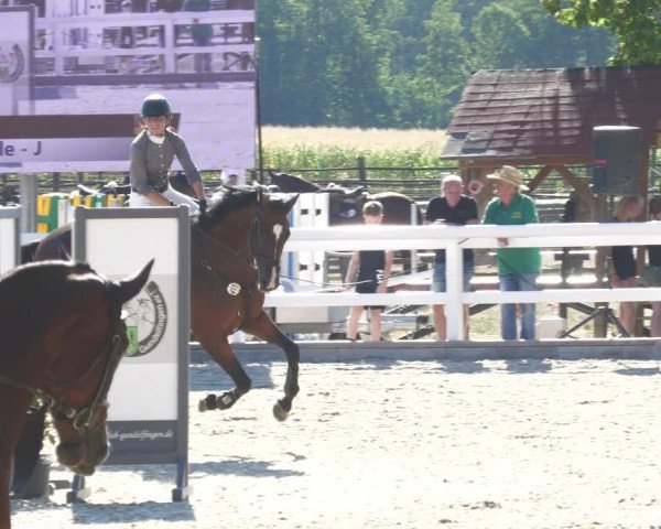 Reitturnier Gundelfingen 2022