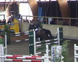 broodmare My Girl (Thuringia, 2000, from Golden Power)