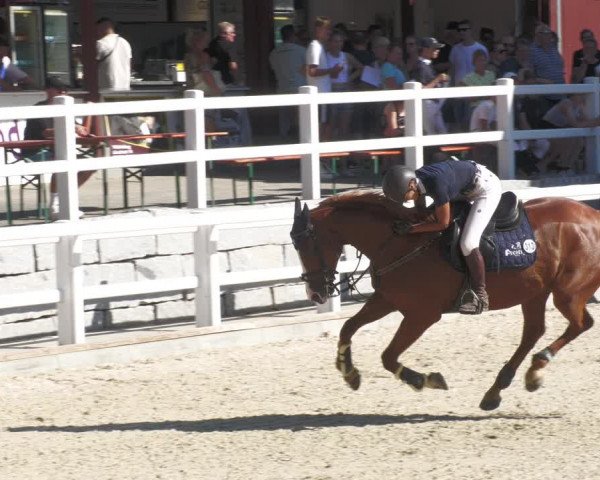 Reitturnier Gundelfingen 2022