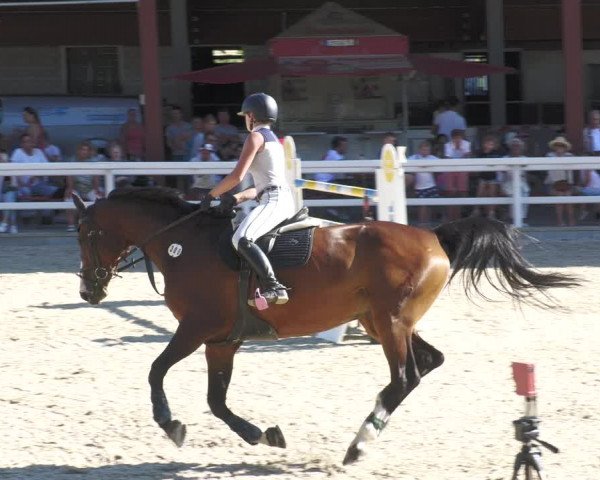 Reitturnier Gundelfingen 2022