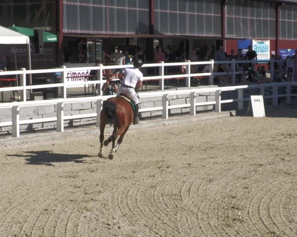 Reitturnier Gundelfingen 2022