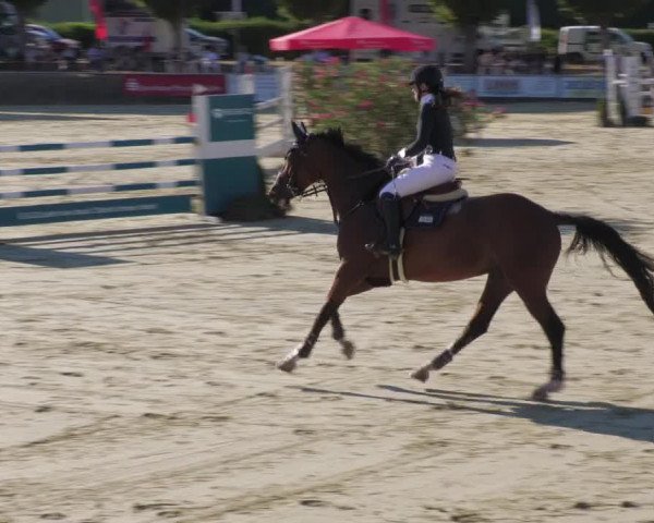 Reitturnier Oberderdingen 2022