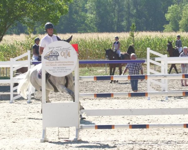 Reitturnier Gundelfingen 2022
