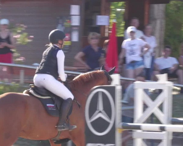 Reitturnier Oberderdingen 2022