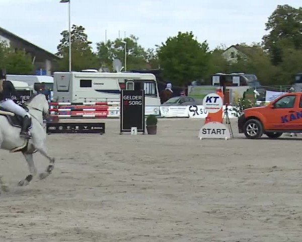 Reitturnier Grafenrheinfeld/Ufr. 2022