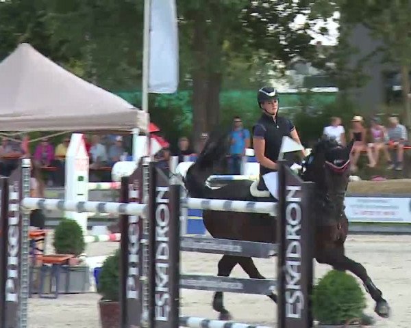 Reitturnier Grafenrheinfeld/Ufr. 2022