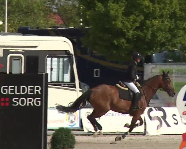 Reitturnier Grafenrheinfeld/Ufr. 2022