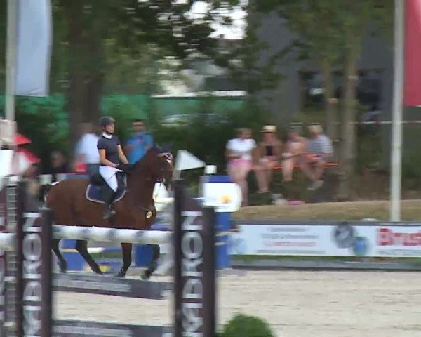 Reitturnier Grafenrheinfeld/Ufr. 2022