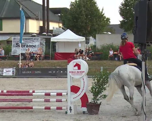 Reitturnier Grafenrheinfeld/Ufr. 2022