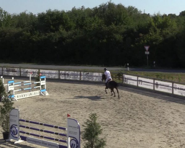 Reitturnier Münster-Amelsbüren 2022