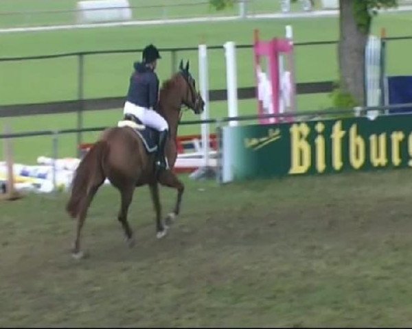 jumper Pastello (Rhinelander, 1995, from Pit I)